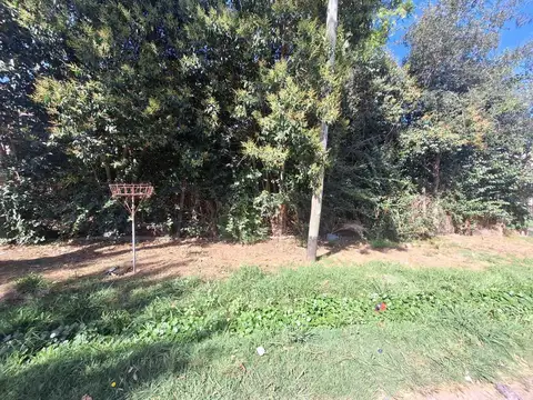 124 e/ 55 y 57