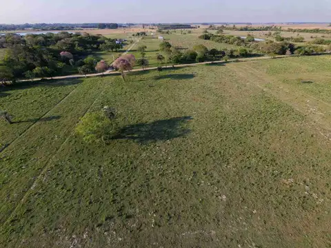 Lotes en venta Colonia Porvenir