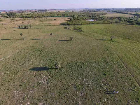 Terreno en Venta en Colonia Porvenir, USD 6.400