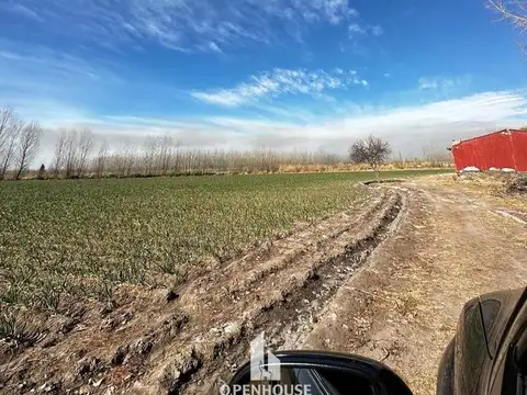 Terreno en Venta en Tunuyan, USD 110.000
