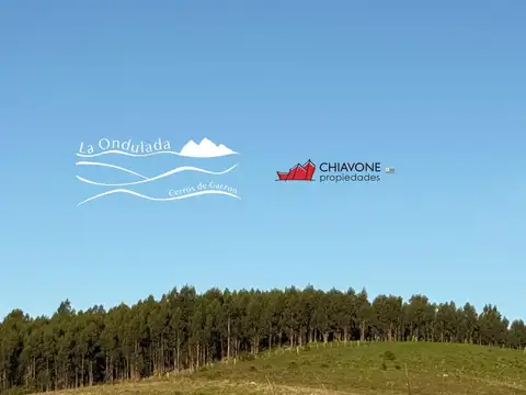 Chacras en venta, ruta rocha, pueblo Garzon.
