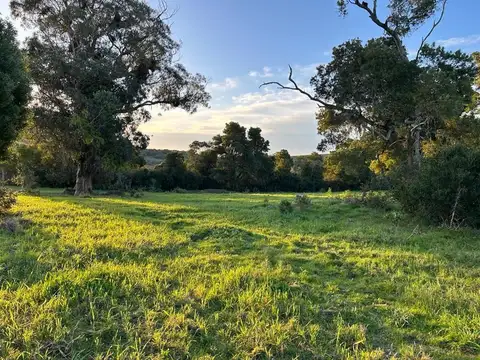 Cerro Aspero