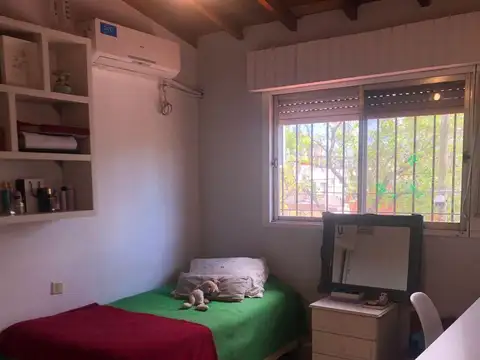 Diego palma 800