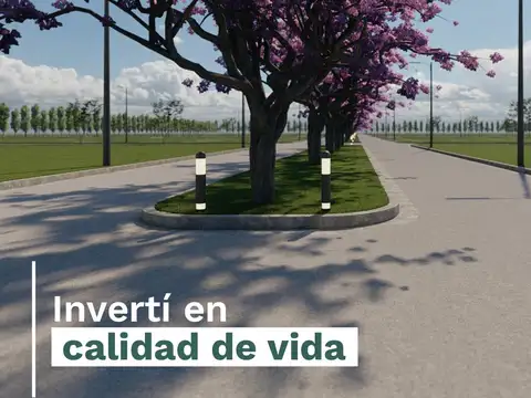 Av. America y calle publica