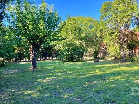 Cerro de las Ovejas & Güemes