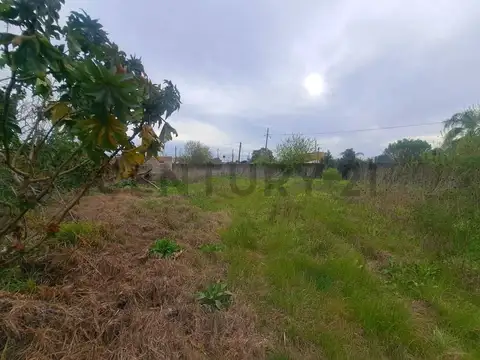 Terreno en Venta 42  mts Fondo