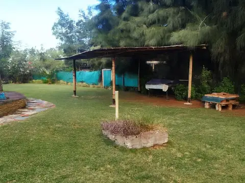 Los Alerces  al 1500