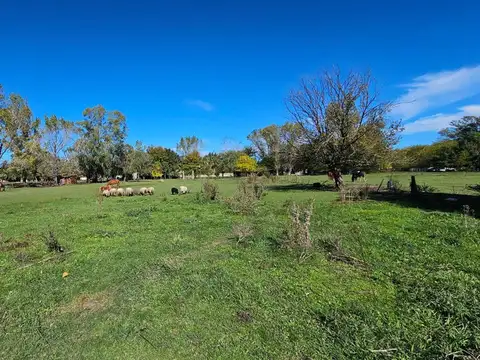 Terreno en Venta de 2000,0 m2