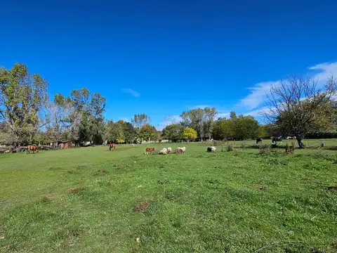 VENTA LOTE TERRENO DE 2000M2 URIBELARREA