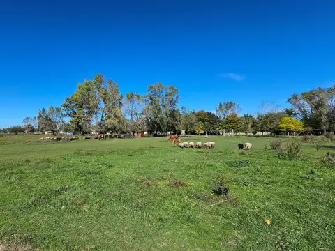 Terreno en Venta de 2000,0 m2