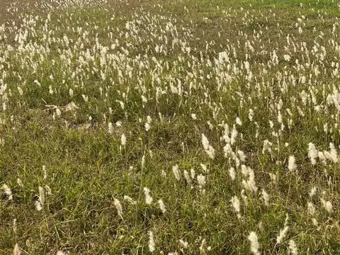 Terreno en Venta 20  mts Frente