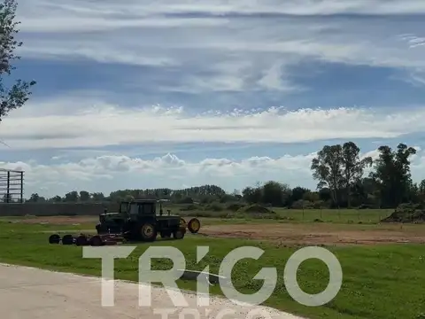 Terreno en Venta en Francisco Alvarez, Partido de Moreno