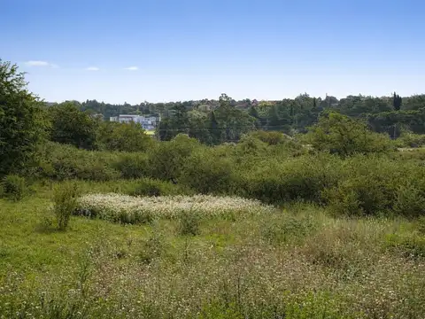 SE VENDEN LOTES DESDE 800 MT HASTA 1580 MT 