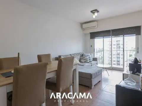 Arana 37