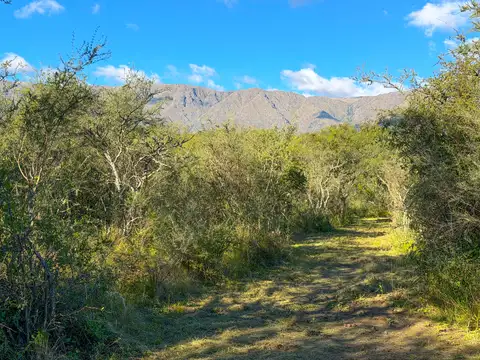 Terreno en Venta de 3000,0 m2