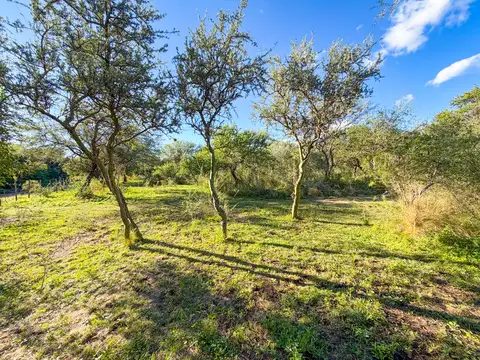 Terreno en Venta 32  mts Frente