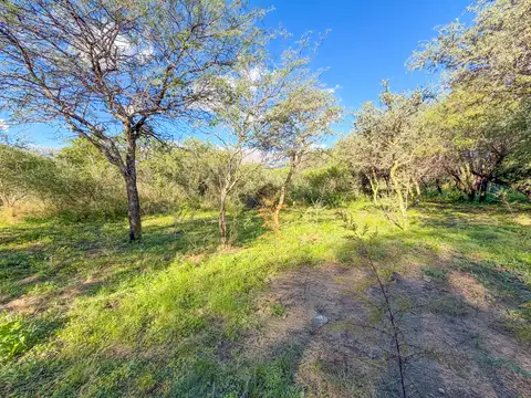 Terreno en Venta 106  mts Fondo