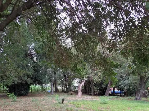 Gran Lote - En Esquina - Linda Forestación