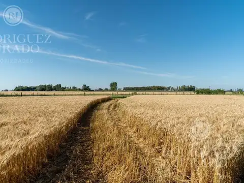 Fracción en venta de 9ha san antonio de areco