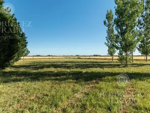 Fracción en venta de 9Ha San Antonio de Areco