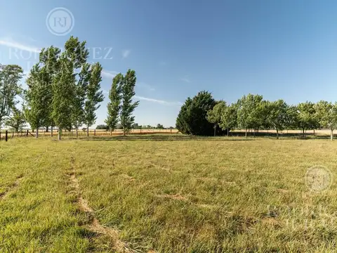 Ruta 31 - San Antonio de Areco 100