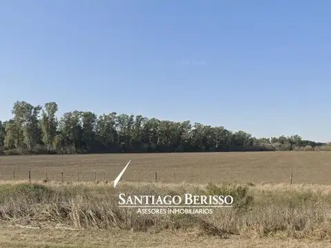 Campo en Lima