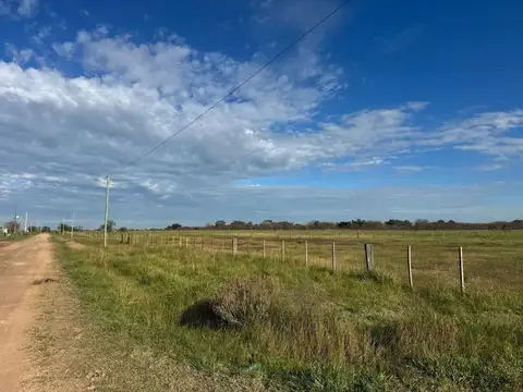 Terreno en Venta de 10000,0 m2