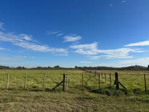 Terreno en Venta de 10000,0 m2