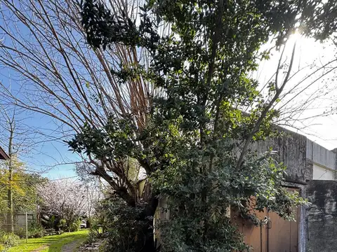 LOTE EN VENTA RINCON DE MILBERG-TIGRE 400M