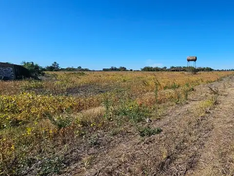 Venta Campo en Navarro  32 Has.  OPORTUNIDAD