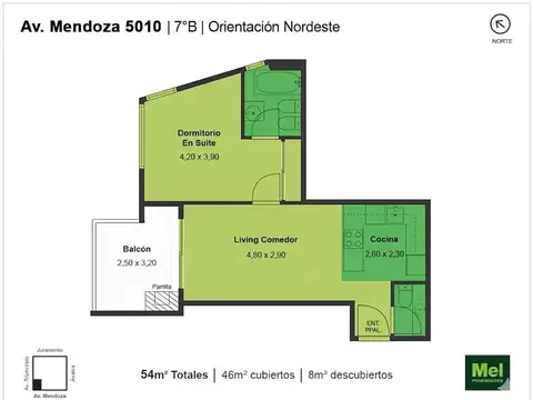 Mendoza 5000