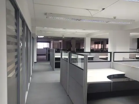 Oficina en Alquiler A Estrenar