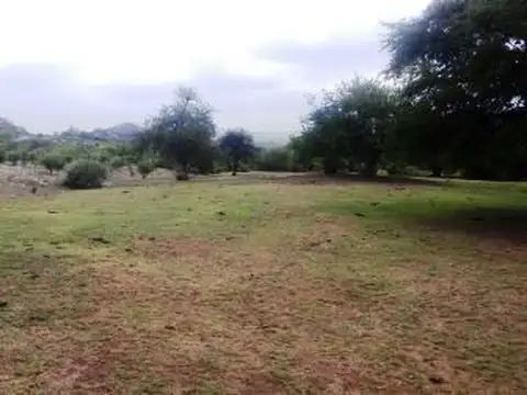 Campo en Venta de 95  ha