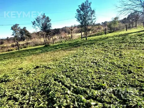 De la Virgen y Segui, Pontevedra