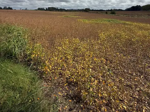 Campo en venta de 20m2 ubicado en Capitán Sarmiento
