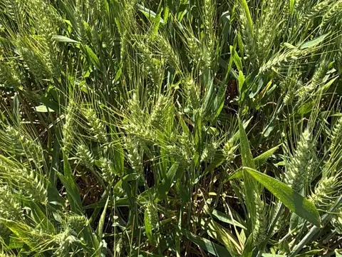 Campo en venta de 20m2 ubicado en Capitán Sarmiento