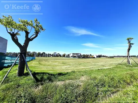 Lote Central en venta de 1000mts en Puerto Nizuc - Posesión Inmediata -  Guillermo Hudson