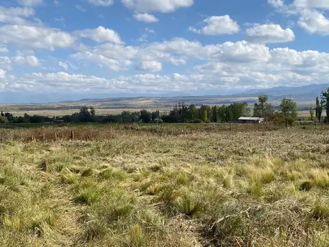 LOTE EN VENTA LA CARRERA TUPUNGATO VALLE DE UCO