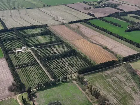 Campo en Venta de 36  ha