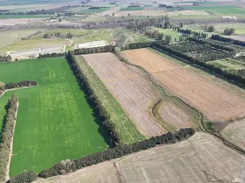 Campo 36 Has - San Pedro - 3 Casas Imponentes - Principal + Huéspedes Premium + Caseros - Ruta 191