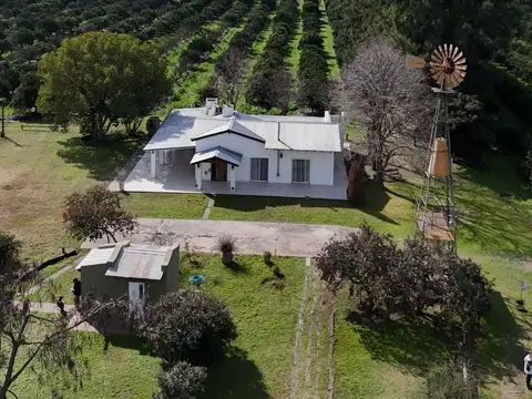 Campo 36 Has - San Pedro - 3 Casas Imponentes - Principal + Huéspedes Premium + Caseros - Ruta 191