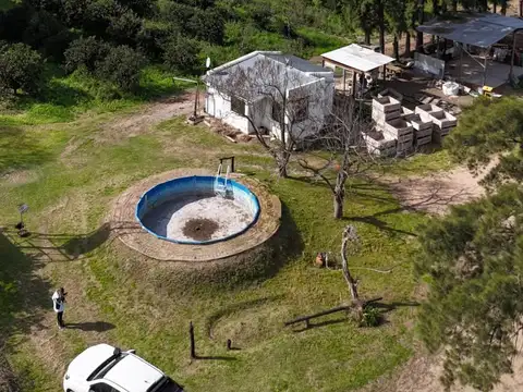 Campo en Venta Agrícola