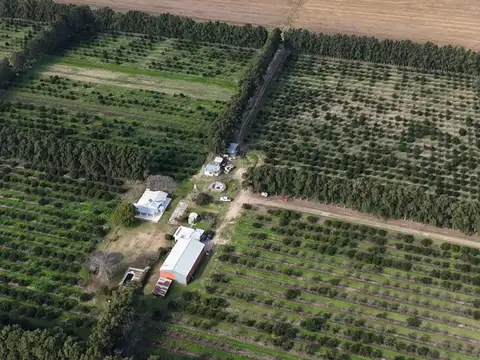 Campo en Venta de 36  ha