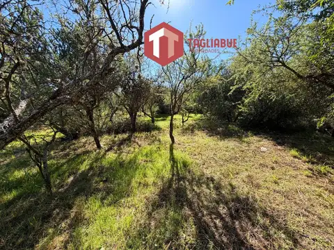 Terreno en Venta de 806,0 m2