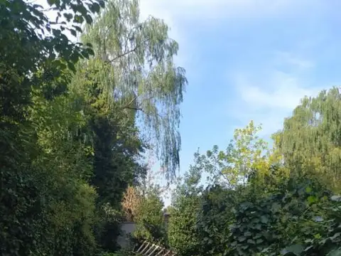 Blanco Encalada 100
