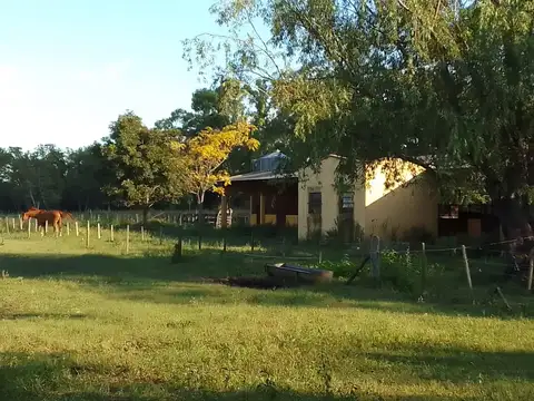 Campo en Venta - Carlos Keen