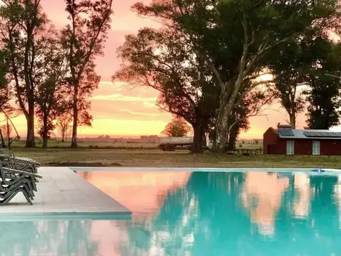 TERRENO Y LOTE - GRAL RODRIGUEZ