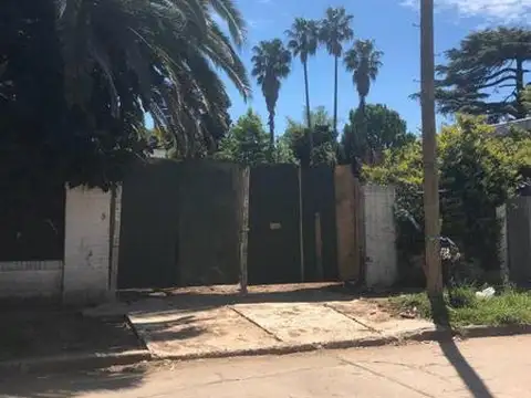 Ladislao Martinez al 1300