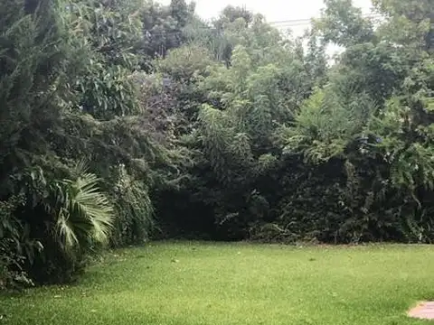 Ladislao Martinez al 1300