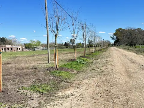 San Benito, Calle 129 Perito Moreno e/ Calle 240 y Calle 246